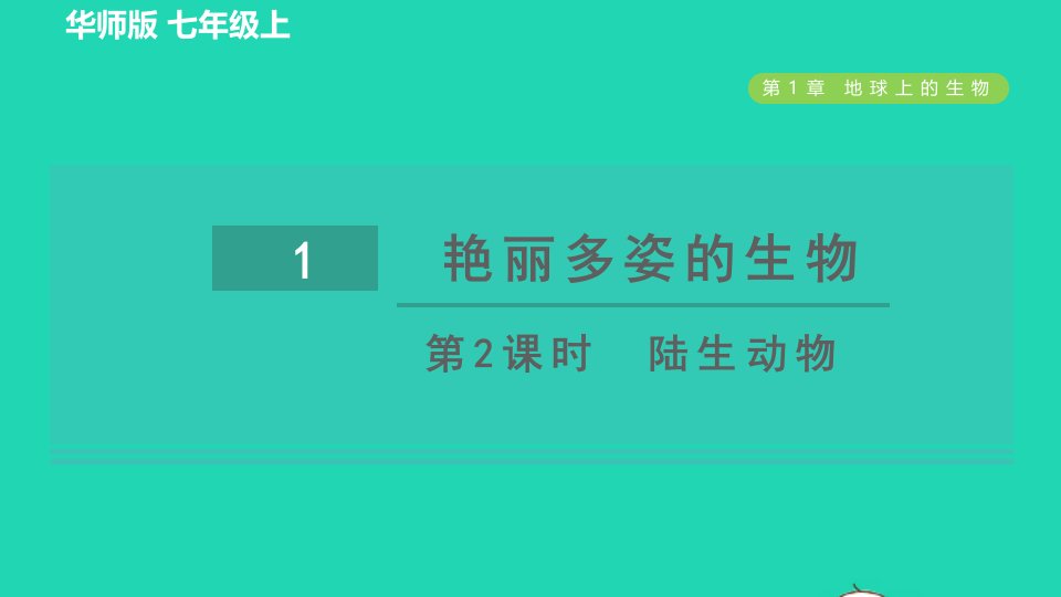 2021秋七年级科学上册第1章地球上的生物1艳丽多姿的生物第2课时陆生动物习题课件新版华东师大版