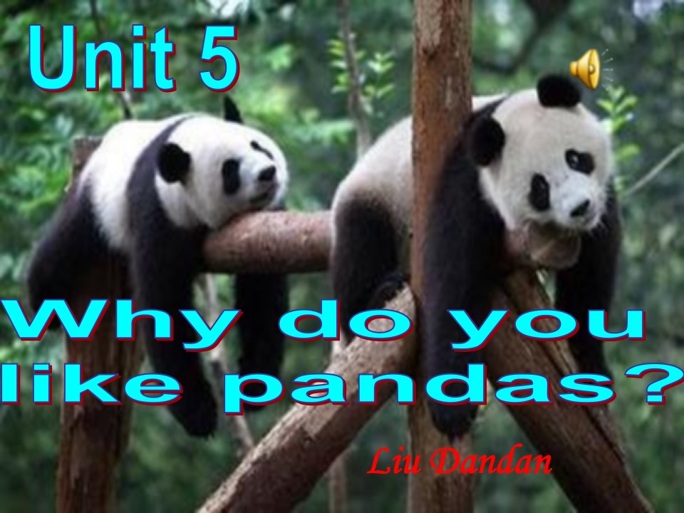 why-do-you-like-pandas公开课课件