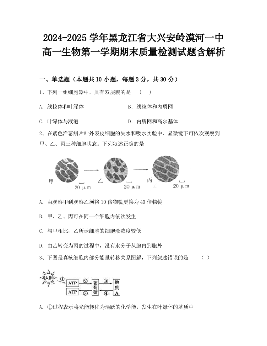 2024-2025学年黑龙江省大兴安岭漠河一中高一生物第一学期期末质量检测试题含解析