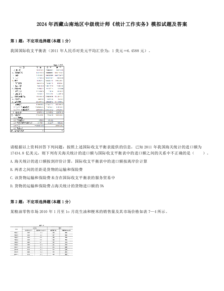 2024年西藏山南地区中级统计师《统计工作实务》模拟试题及答案