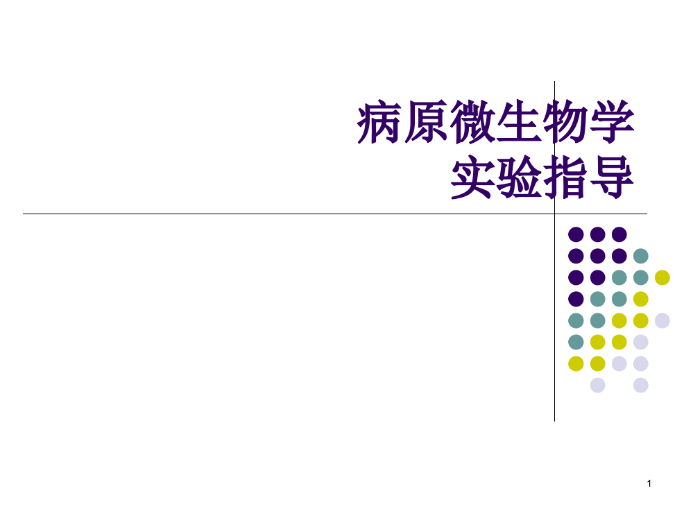 微生物检验实验细菌的基本形态ppt课件