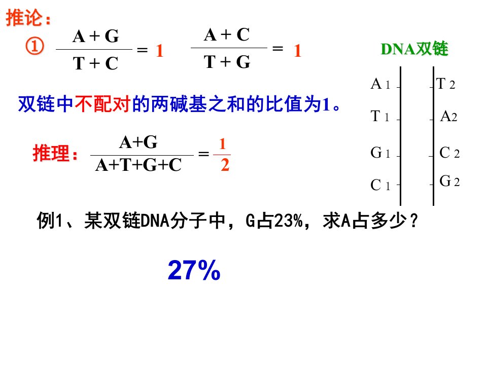 DNA分子的结构与复制计算ppt课件