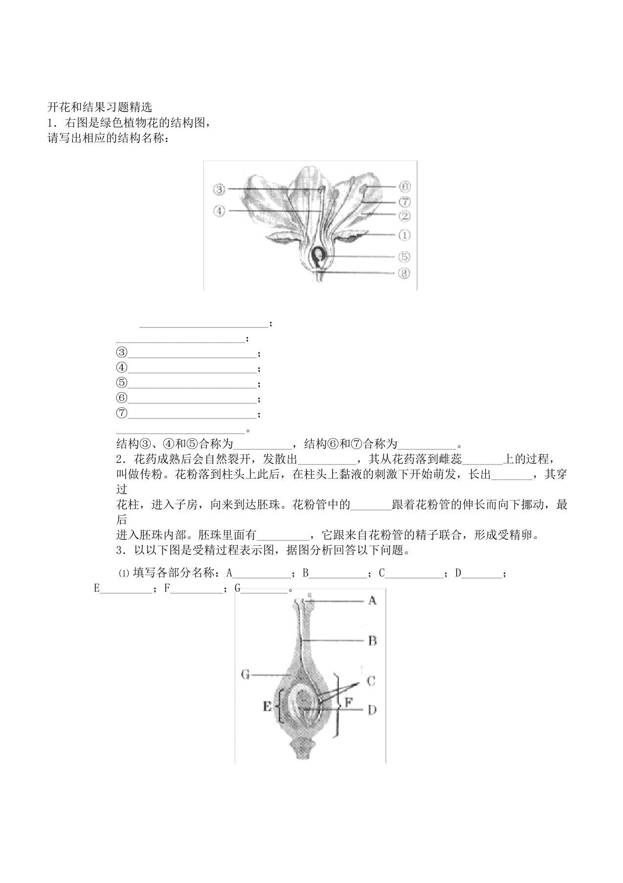 七年级生物开花及结果复习练习题