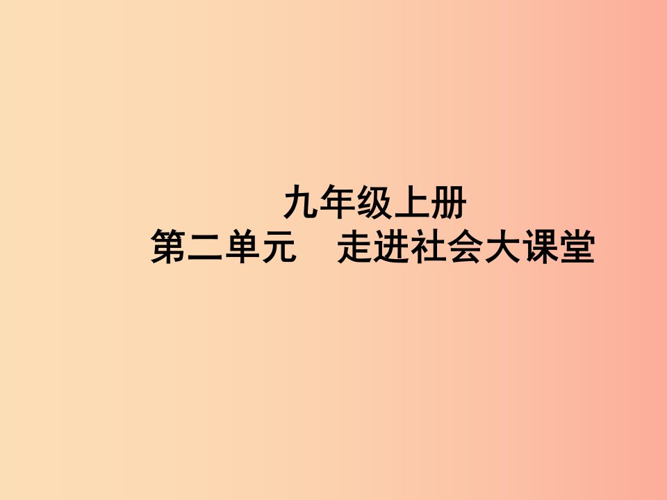 （聊城专版）2019年中考道德与法治总复习