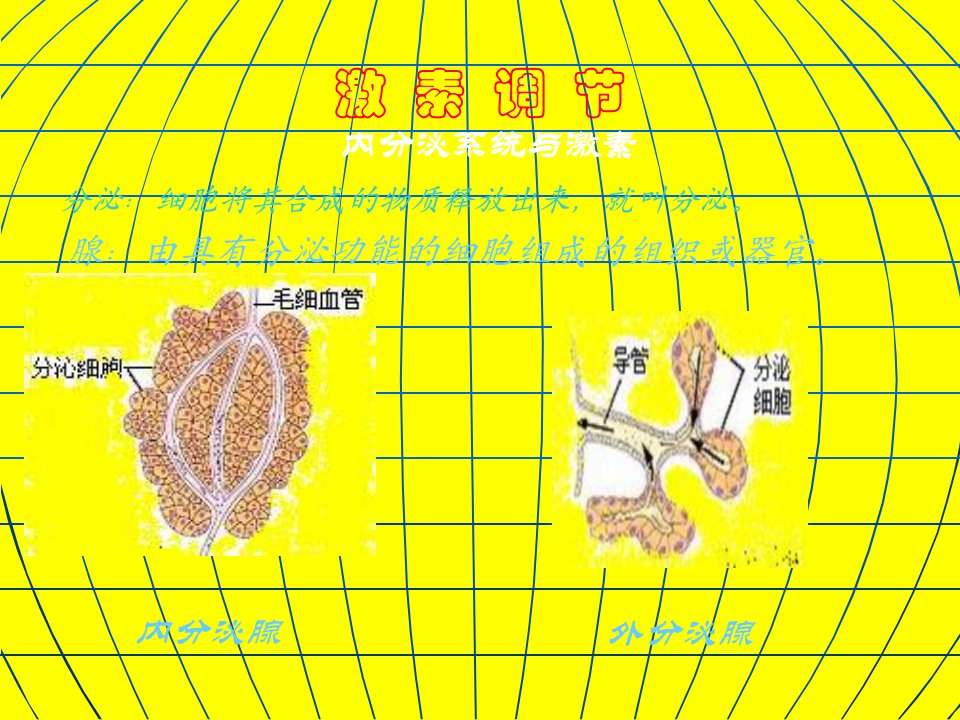 七年级生物激素调节