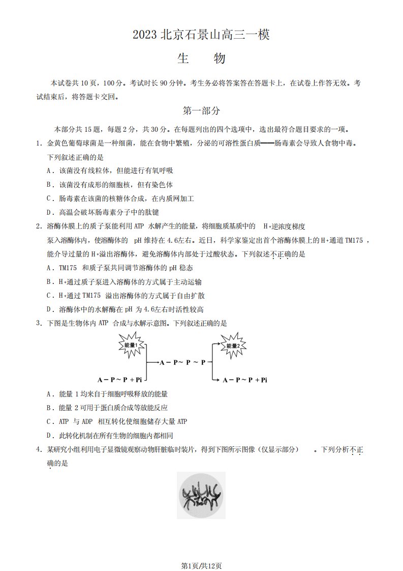 2023年2024年北京石景山区高三一模生物试卷及答案