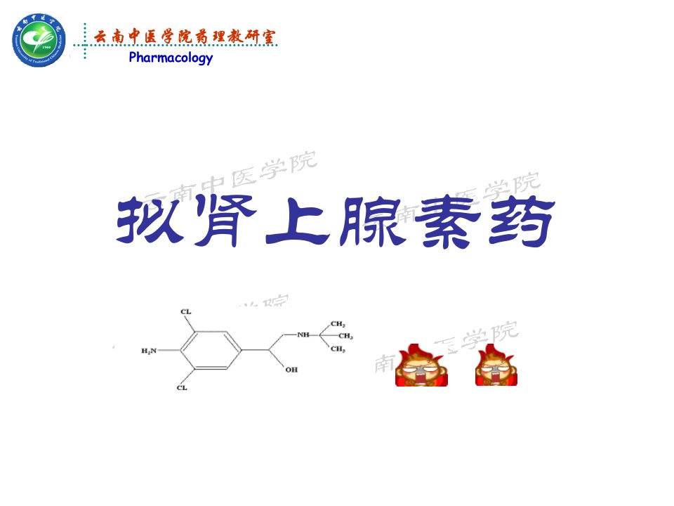 拟肾上腺素药-药理学课件