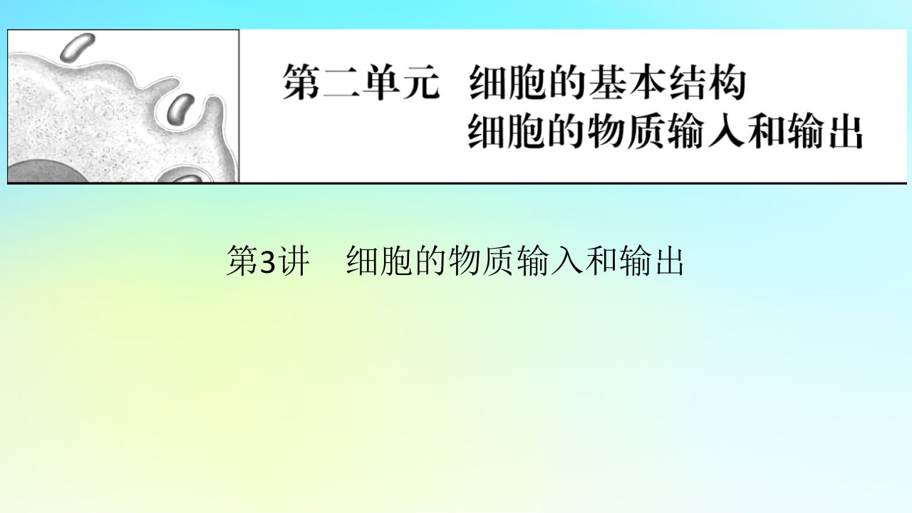 2024版高考生物一轮总复习第二单元细胞的基本结构细胞的物质输入和输出第3讲细胞的物质输入和输出课件