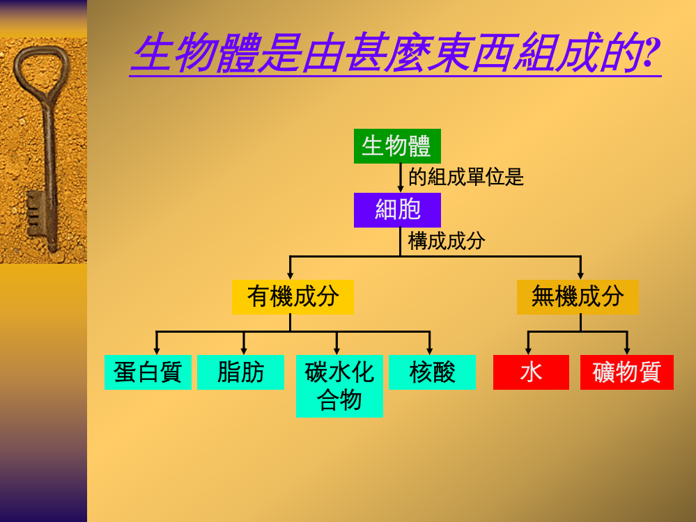 细胞内的生命程序