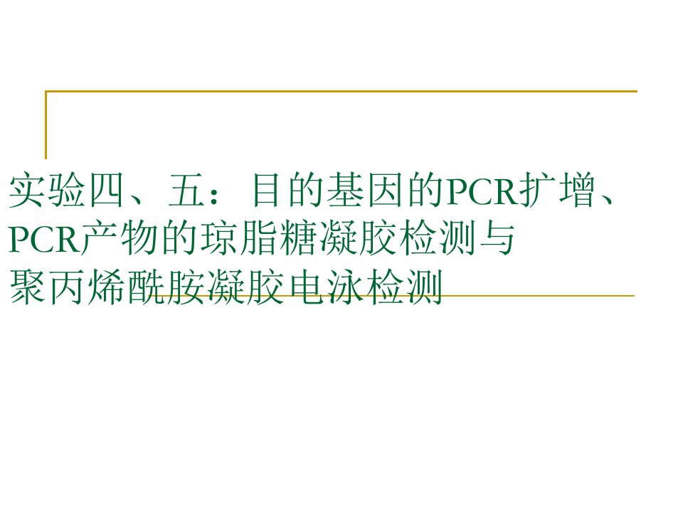 实验四、五：目的基因的PCR扩增