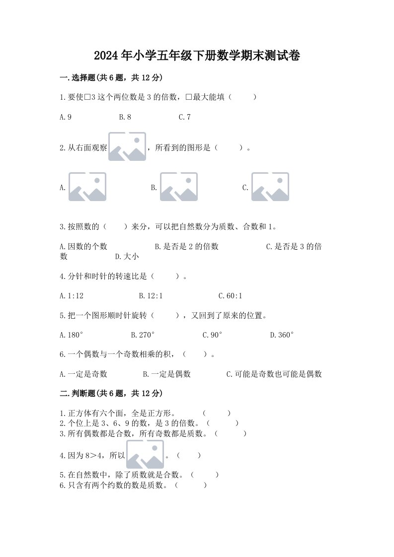 2024年小学五年级下册数学期末测试卷及完整答案一套