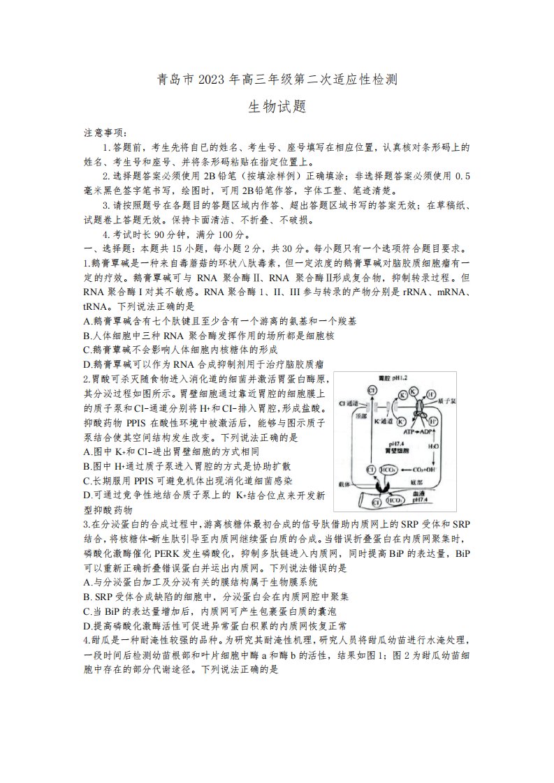 2023届山东省青岛市高三下学期第二次适应性检测(二模)生物试题-附答案