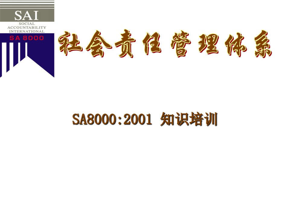 SA8000培训资料