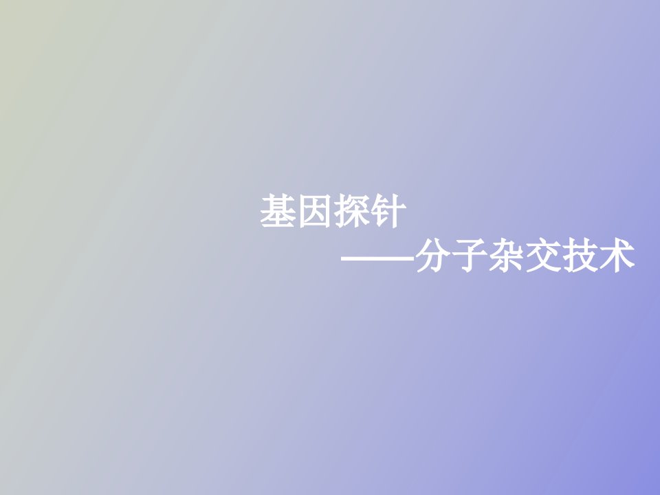 基因探针分子杂交技术