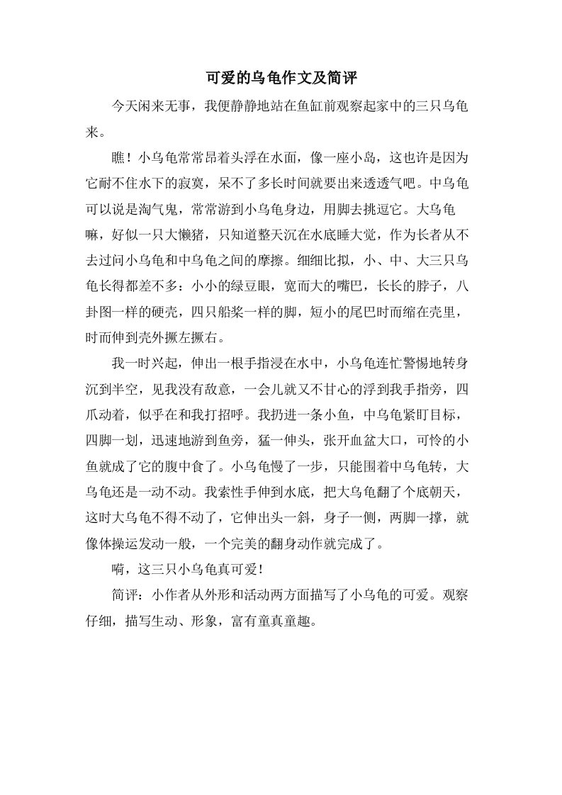 可爱的乌龟作文及简评