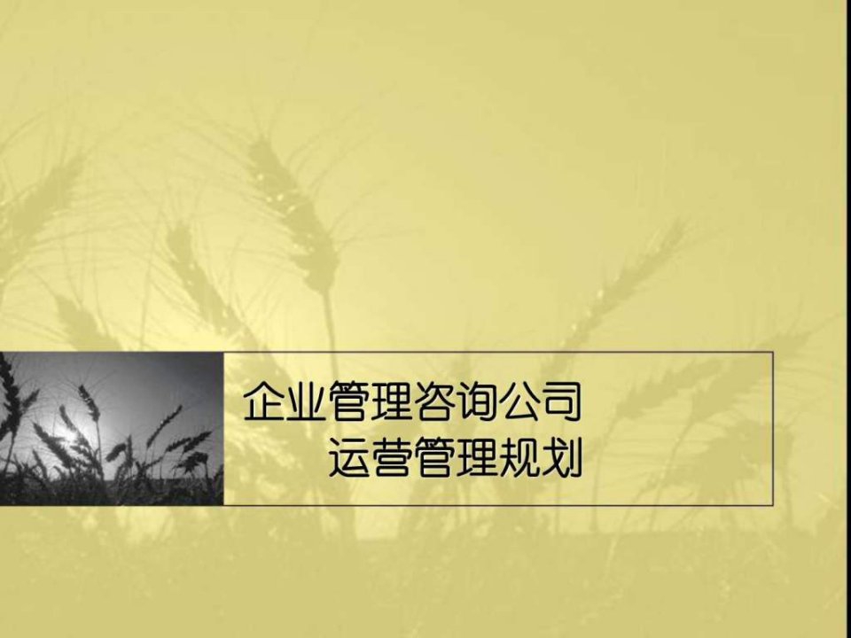 企业管理咨询公司运营管理规划(1)