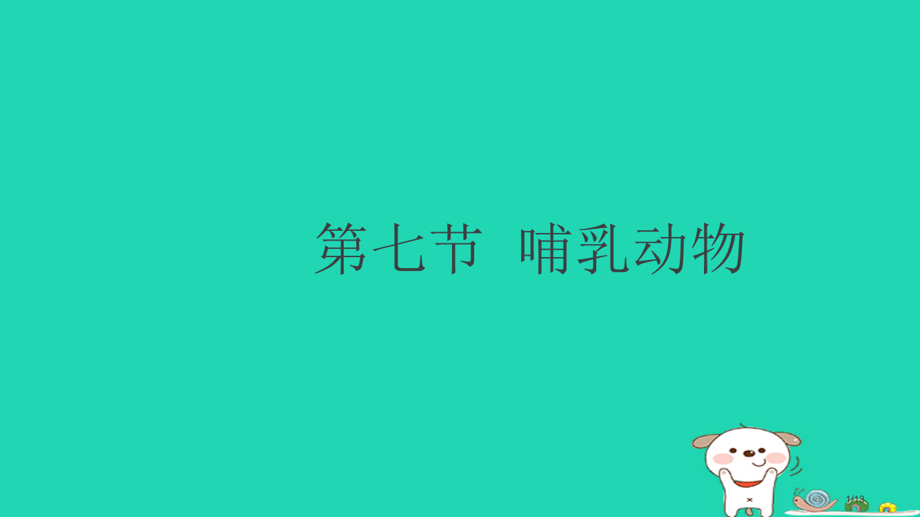 八年级生物上册5.1.7哺乳动物全国公开课一等奖百校联赛微课赛课特等奖PPT课件