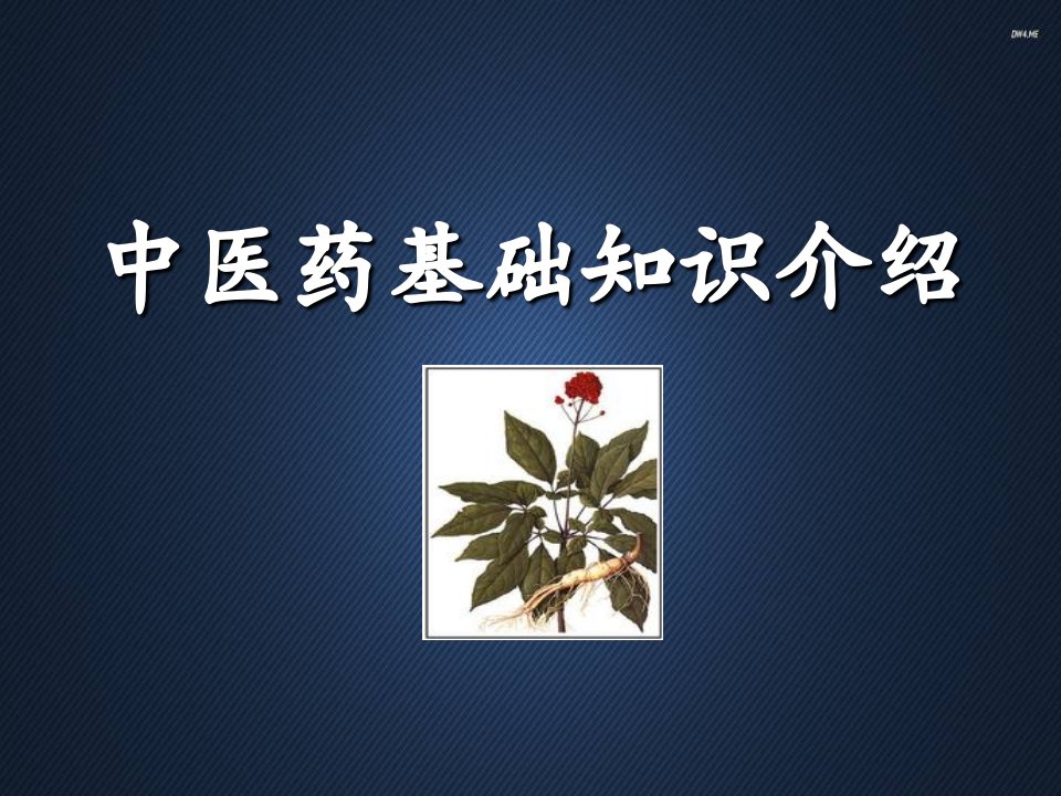 中医药基础知识介绍