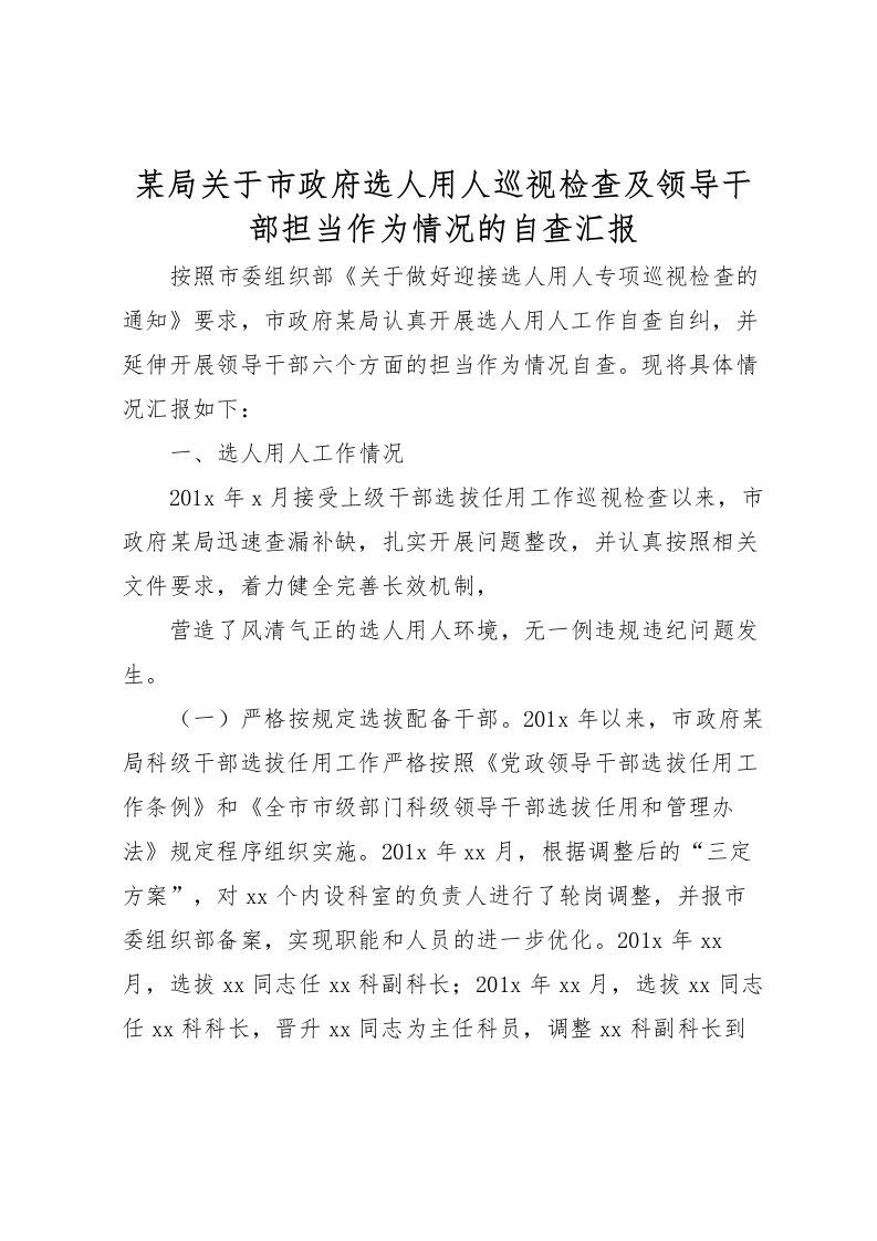 2022某局关于市政府选人用人巡视检查及领导干部担当作为情况的自查汇报