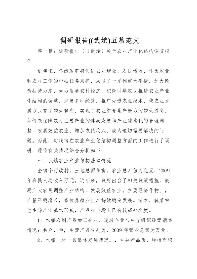 2022调研报告((武斌)五篇范文