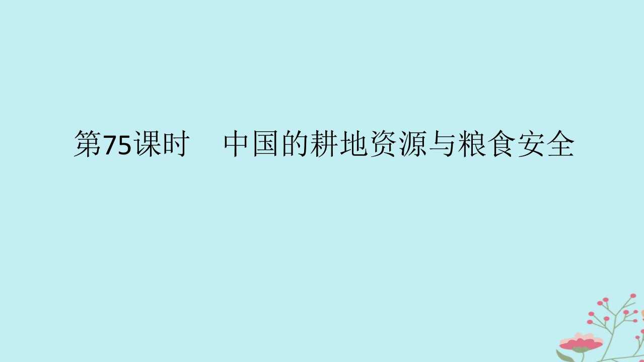 2025版高考地理全程一轮复习第二十章资源安全与国家安全第75课时中国的耕地资源与粮食安全课件