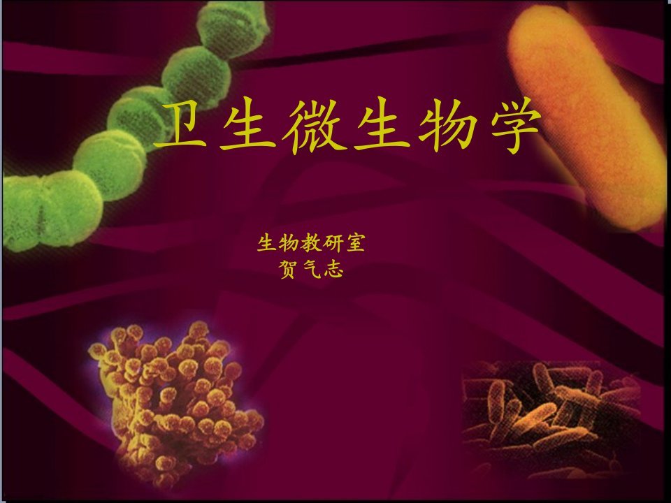 卫生微生物学课件-预防医学专业-第一章绪论