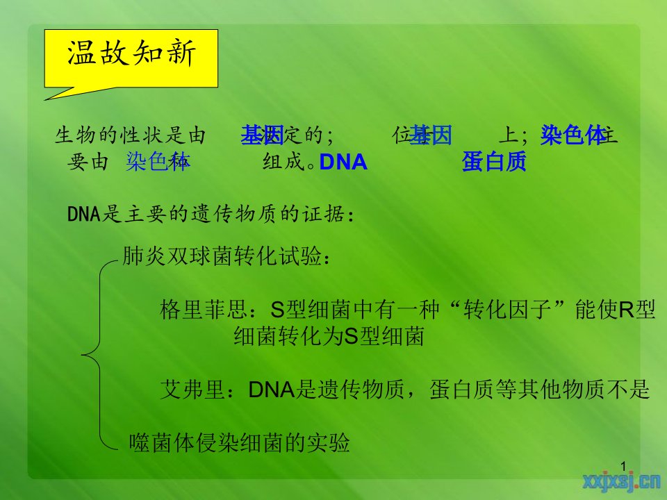 噬菌体侵染大肠杆菌实验