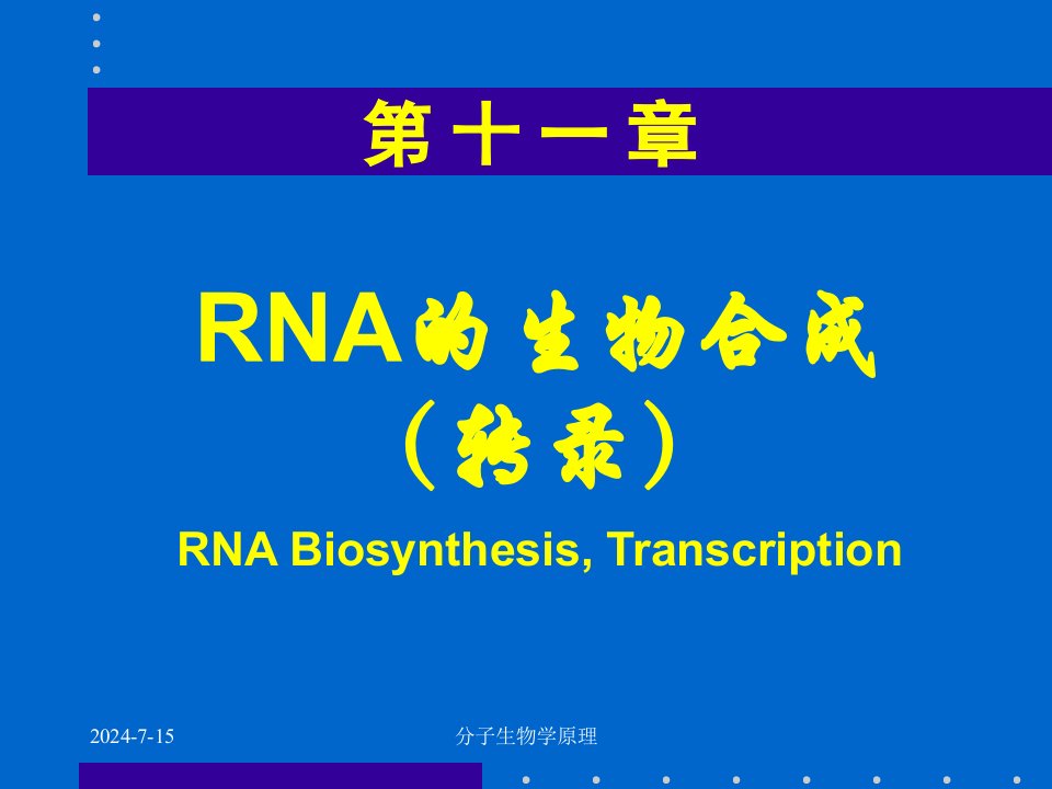 分子生物学原理-RNA的生物合成