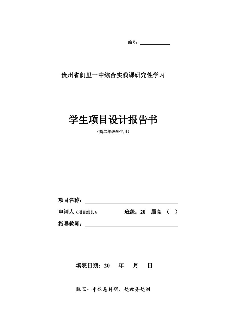 模板：高二用《项目设计报告书》