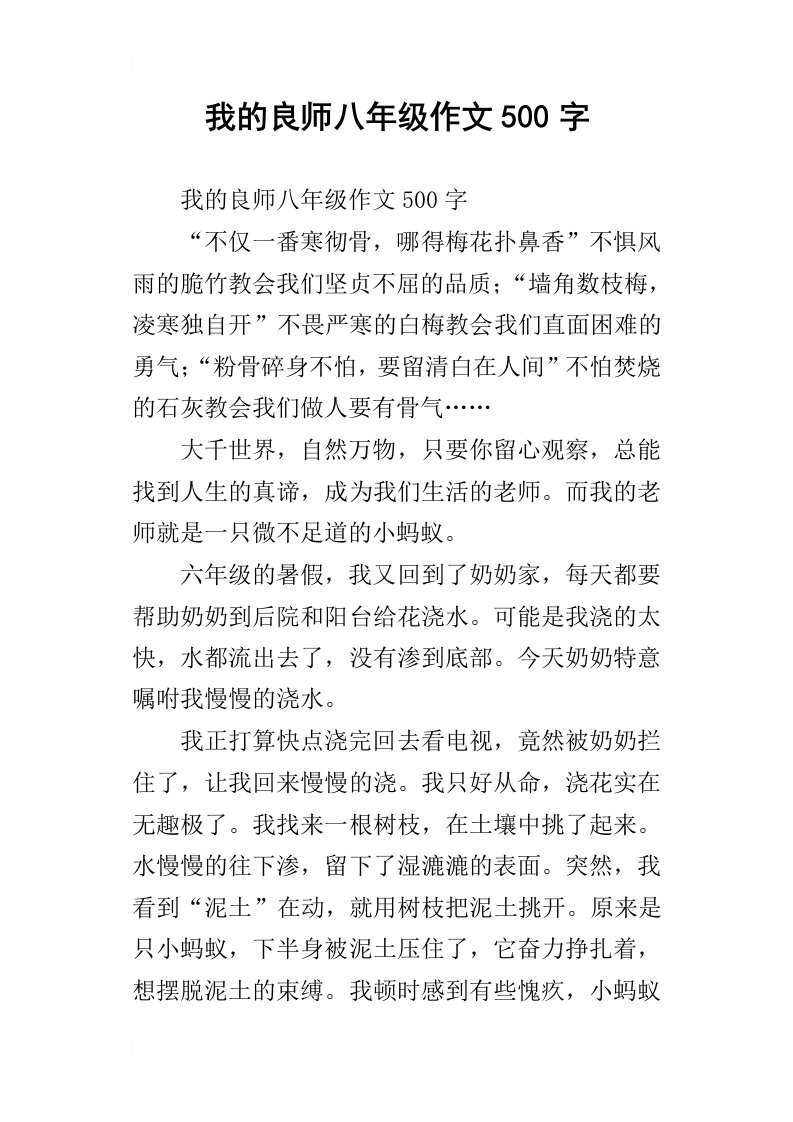 我的良师八年级作文500字