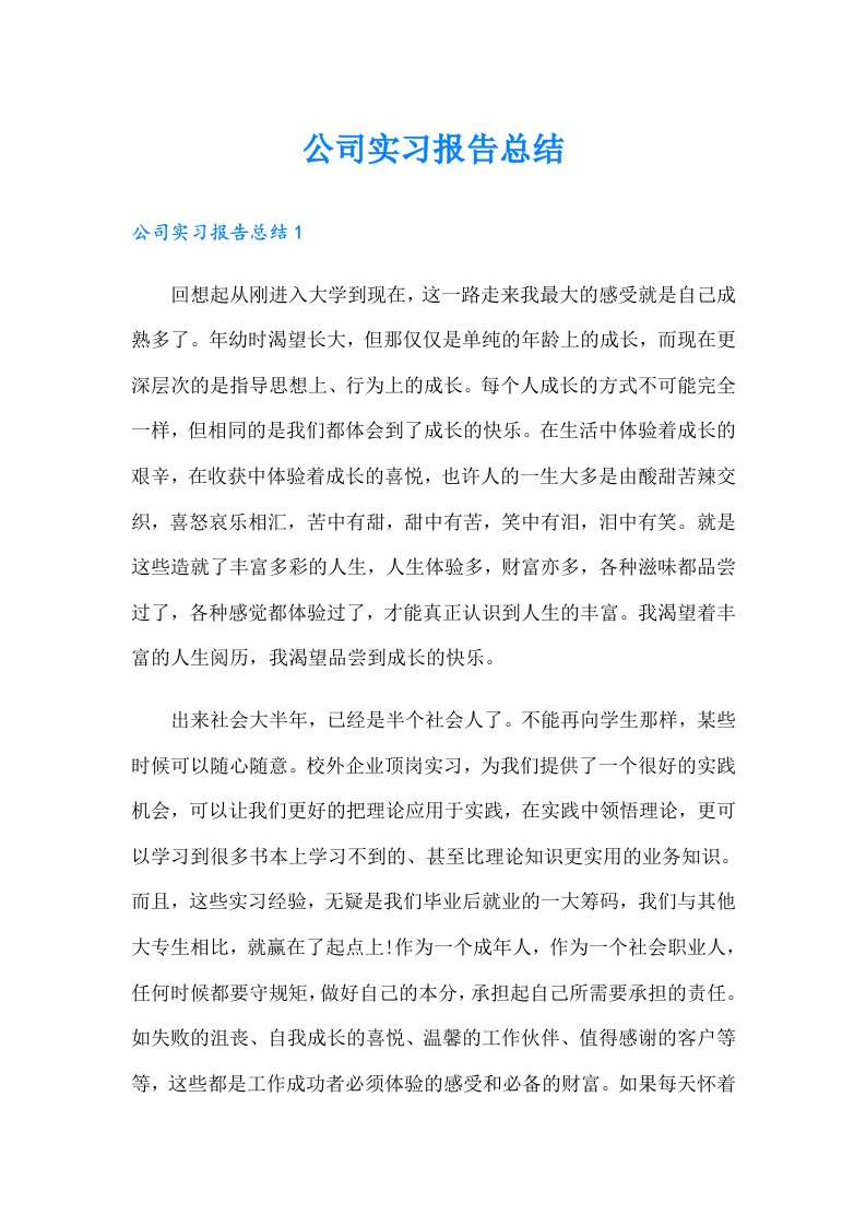 公司实习报告总结