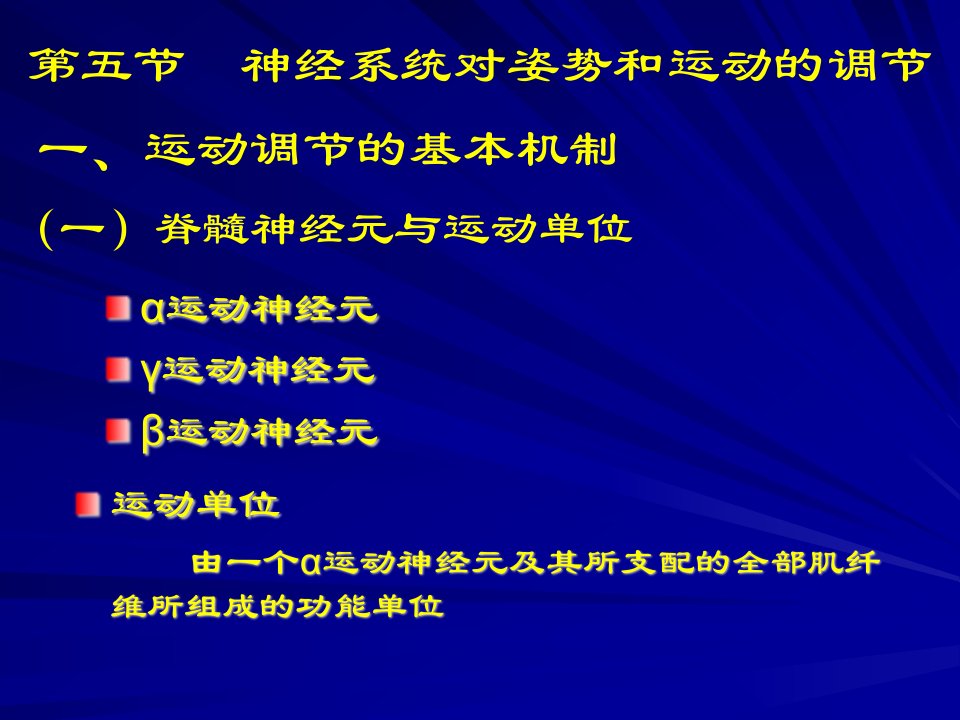 神经系统对姿势和运动的调部分教学