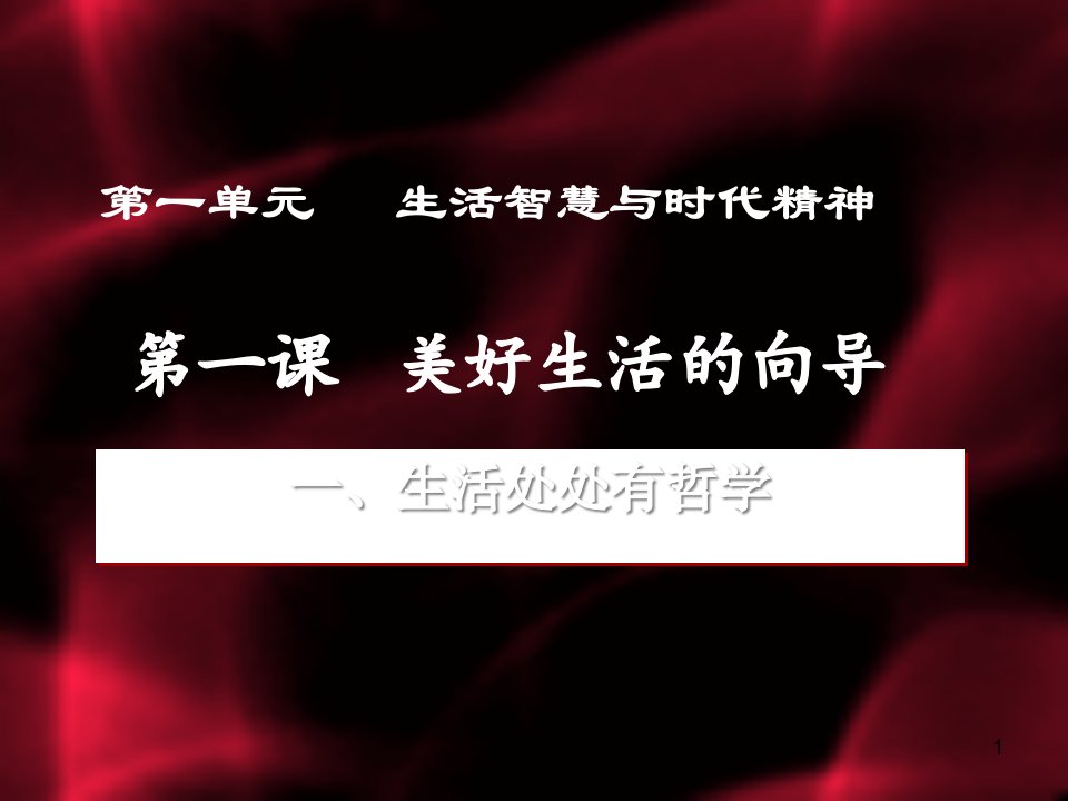 生活处处有哲学课件解析24-人教课标版