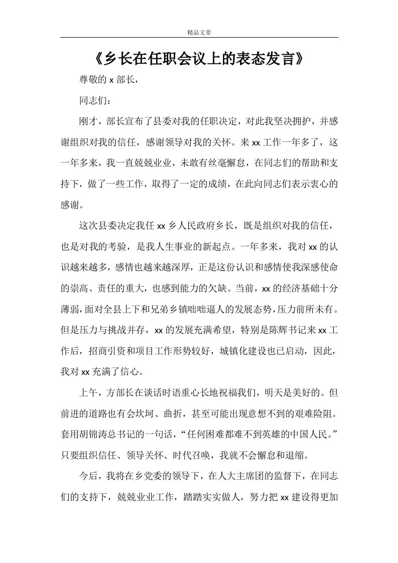 《乡长在任职会议上的表态发言》