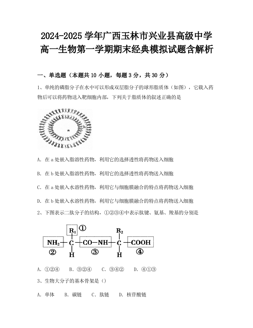 2024-2025学年广西玉林市兴业县高级中学高一生物第一学期期末经典模拟试题含解析