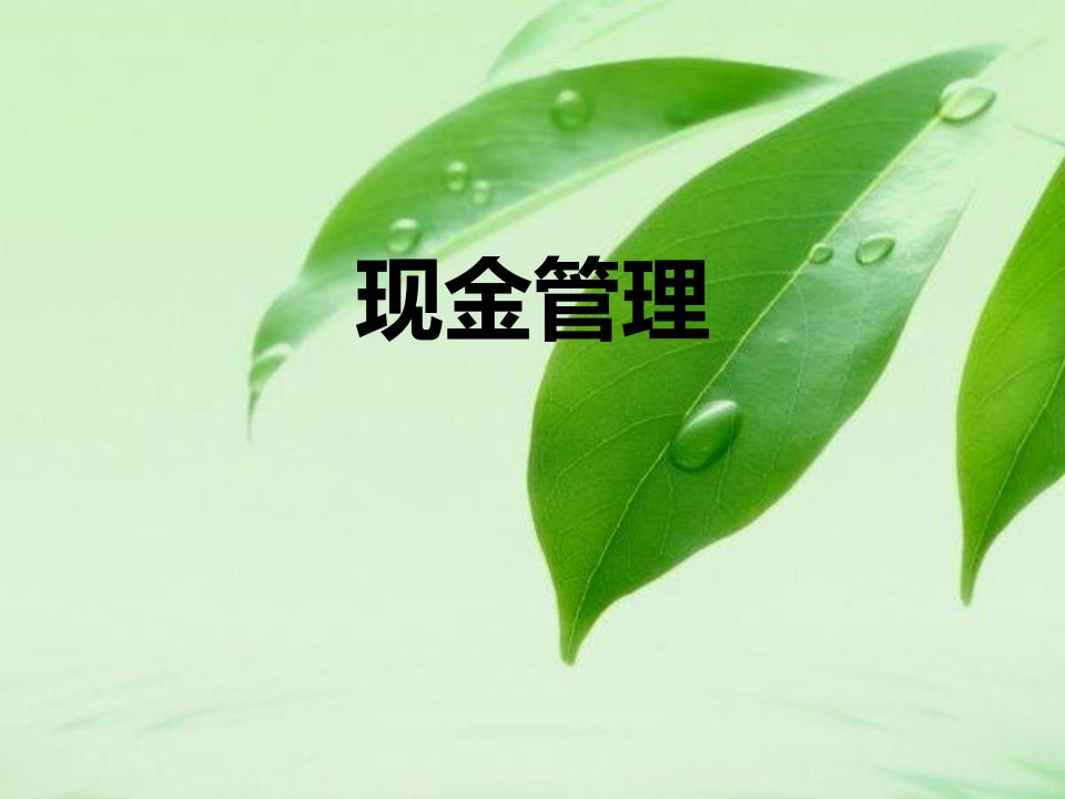 财务管理学课件：第五章