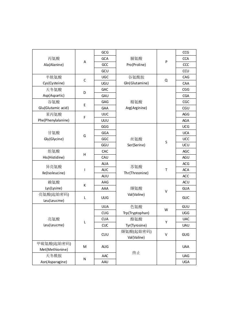 密码子对照表