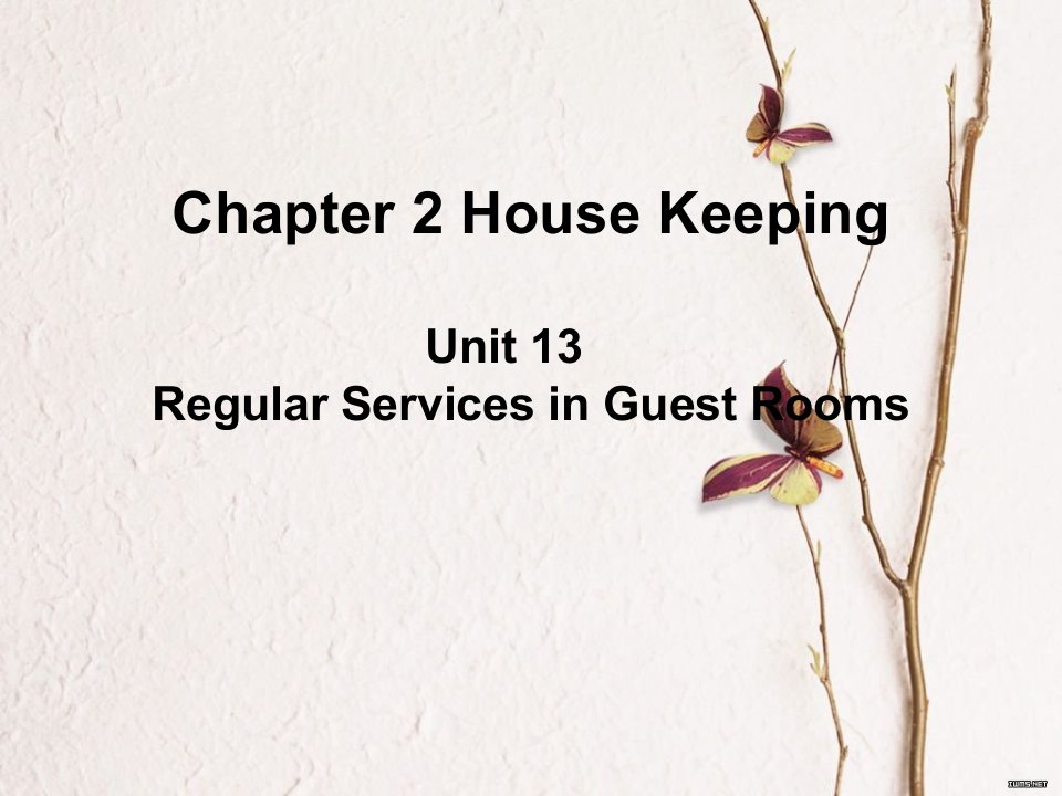 Chapter2Housekeeping酒店英语