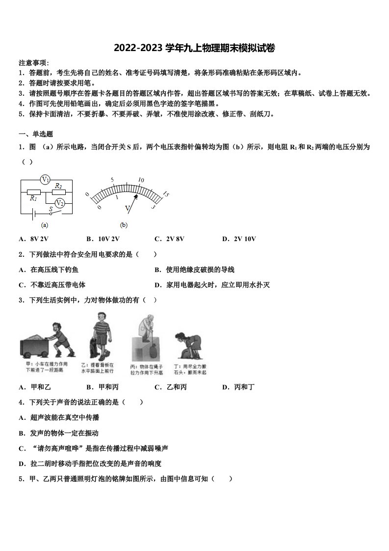 2022年湖北省武汉市六中学九年级物理第一学期期末检测模拟试题含解析