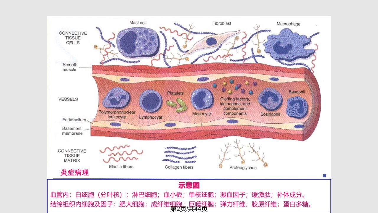 烧伤瘢痕学习