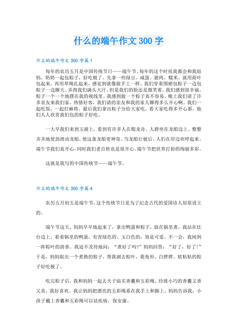 什么的端午作文300字