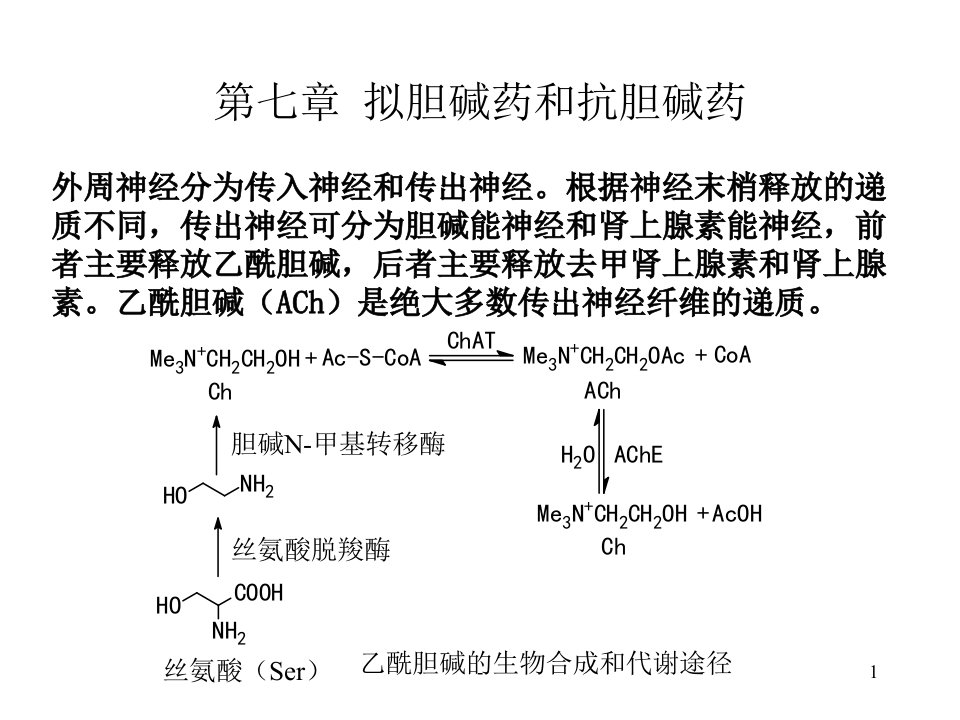 药物化学拟胆碱药和抗胆碱药PPT课件