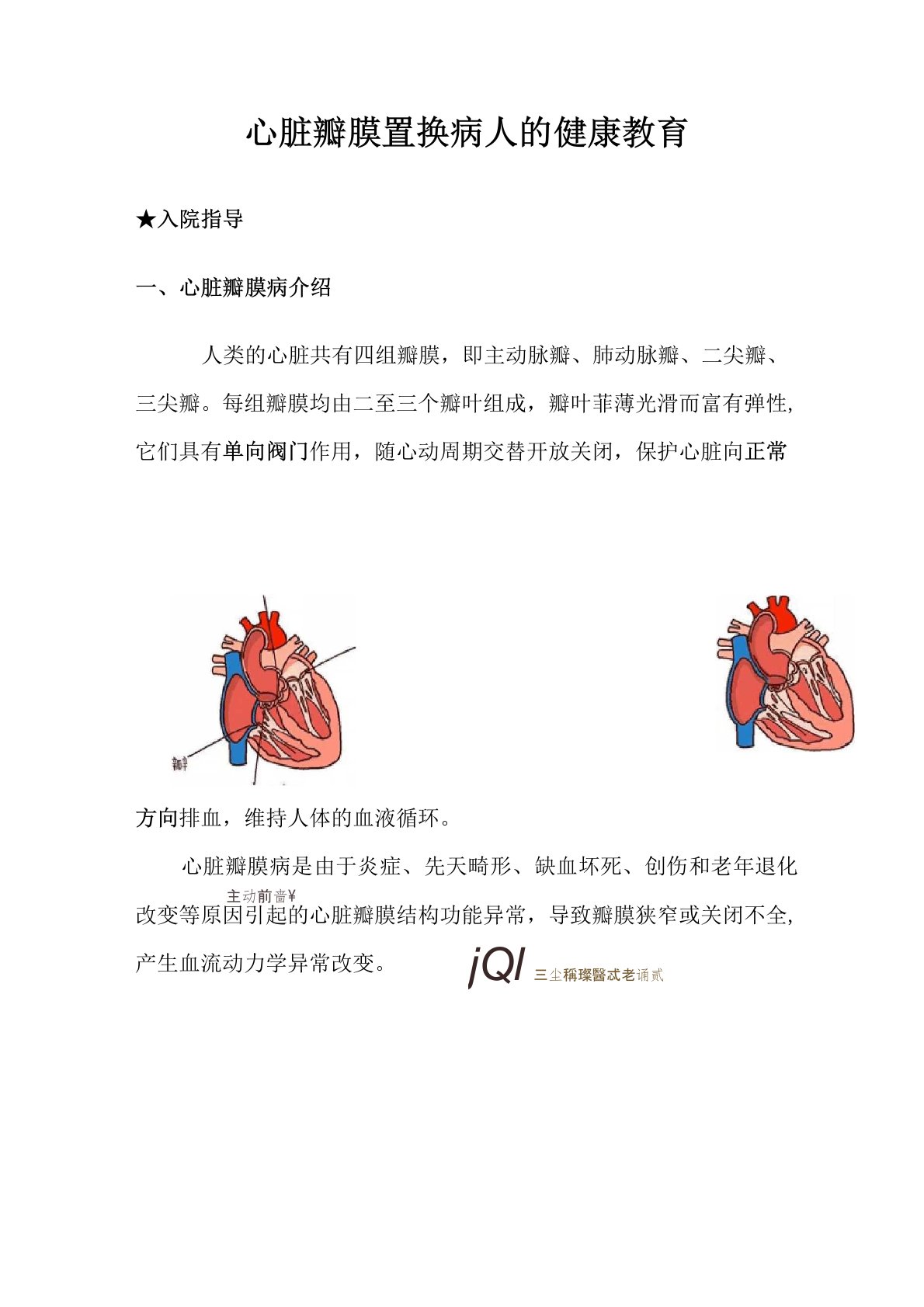 心脏瓣膜病相关健康教育