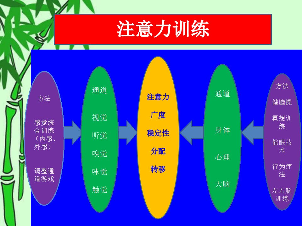 注意力训练课件