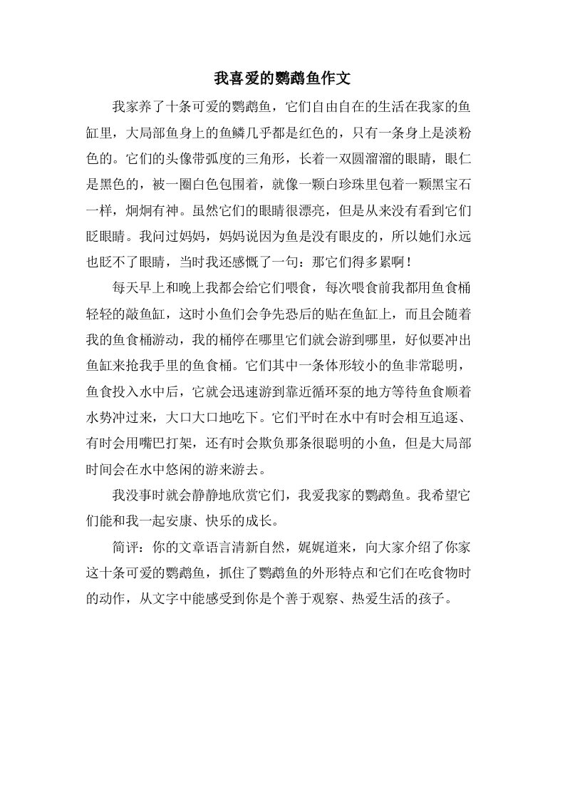 我喜爱的鹦鹉鱼作文