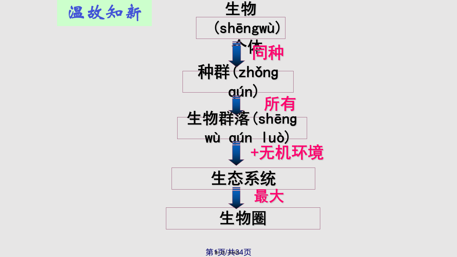 上课用生态系统结构第一轮复习学习教案