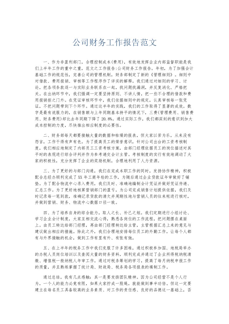 总结报告公司财务工作报告范文