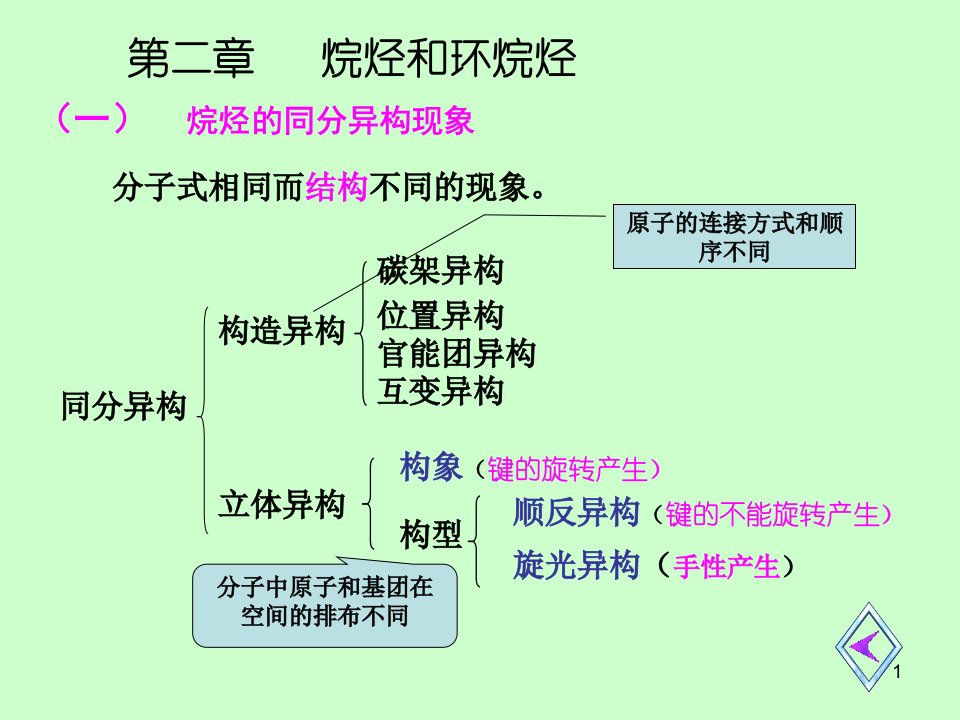 大学有机化学总复习ppt课件