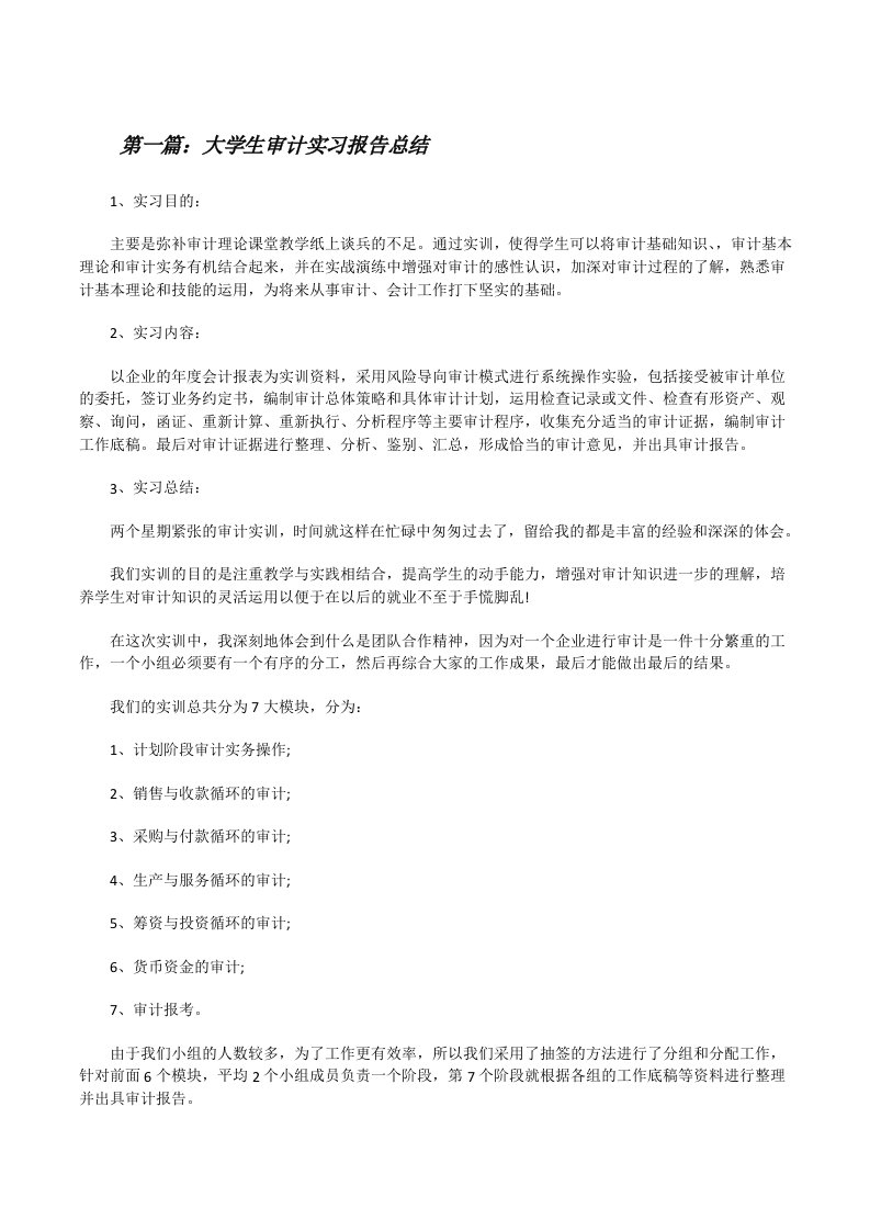 大学生审计实习报告总结[修改版]