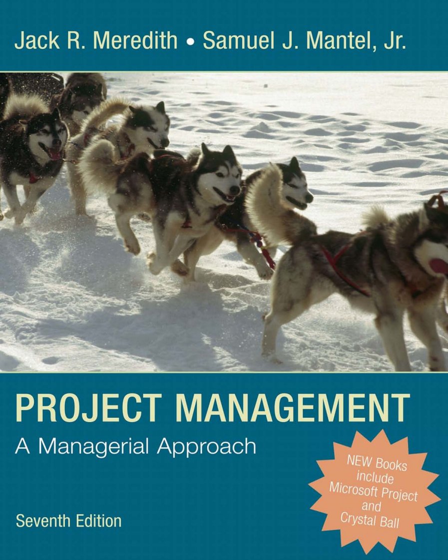 [.项目管理：管理新视角].Project.Management.A.Managerial.Approach外文翻译